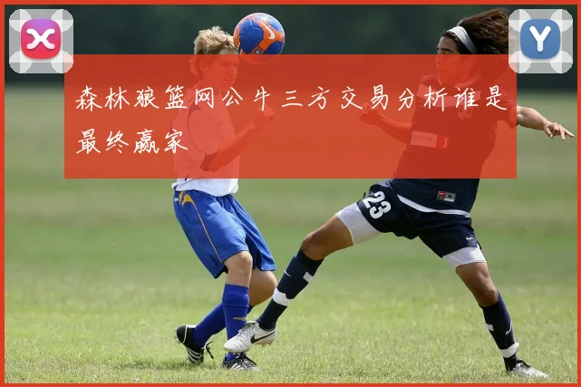 森林狼篮网公牛三方交易分析谁是最终赢家